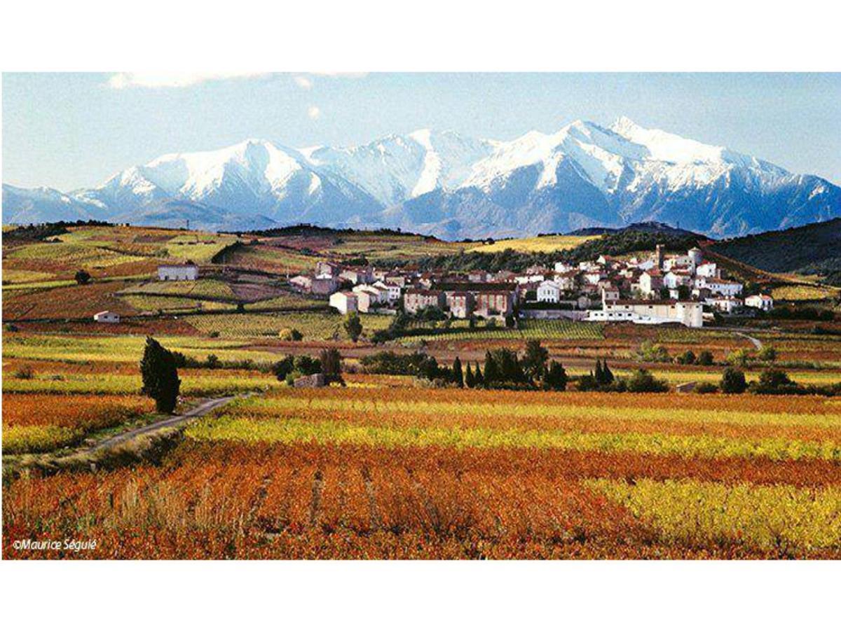Entre Mer Et Montagne Montner ภายนอก รูปภาพ