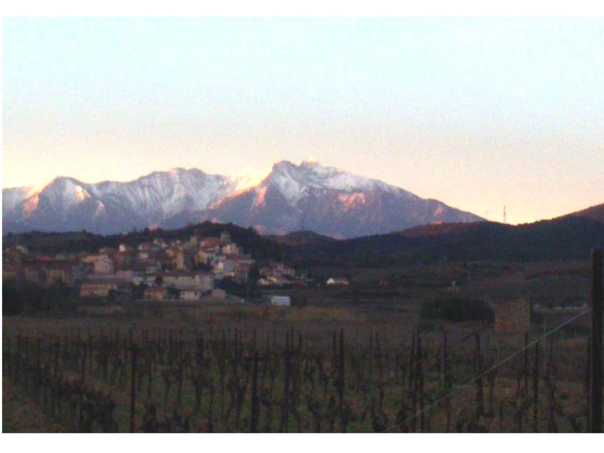 Entre Mer Et Montagne Montner ภายนอก รูปภาพ